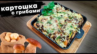 Картошка С Белыми Грибами | Домоед