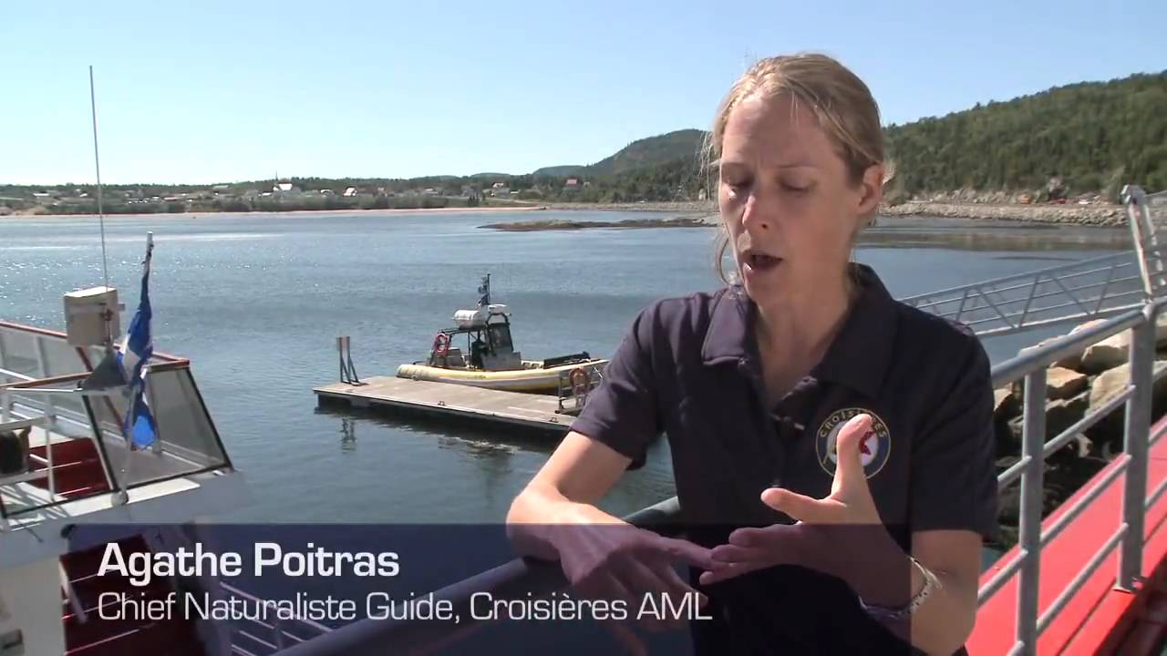 A guide to Bay-Saint-Catherine, Quebec