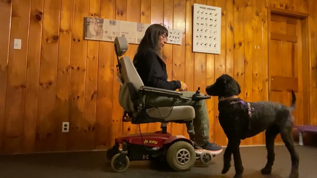 Training Heel Position from a Wheelchair