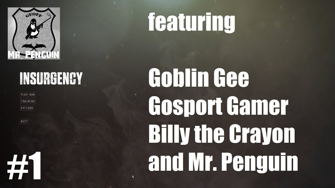 Insurgency co-op #1 feat. GoblinGee &  OldFlads