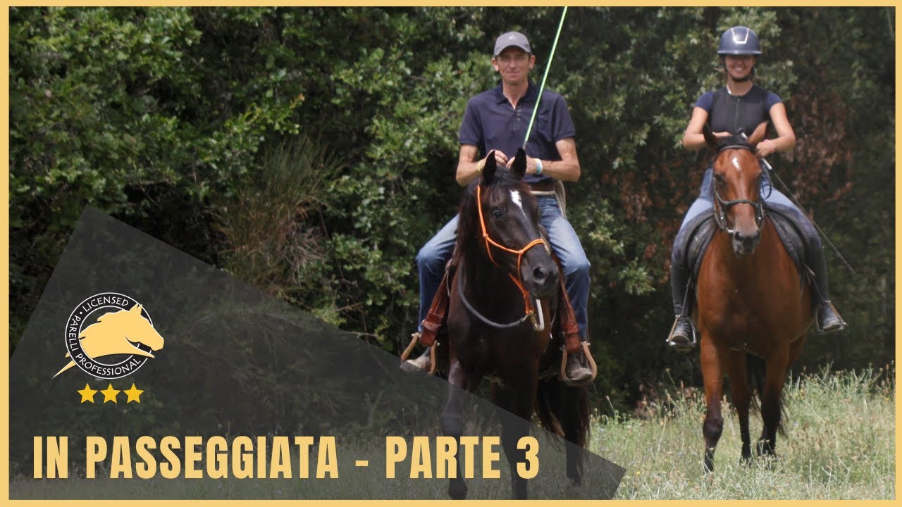 La passeggiata: parte 3