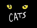 Cats Paris (1989) Ouverture