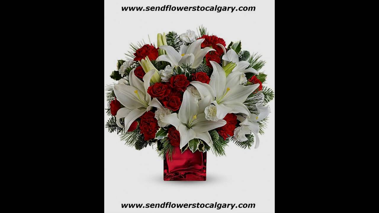 Send flowers from Cambodia to Calgary Alberta Canada YouTube
