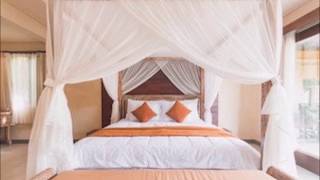 Newly patented EMF shielding canopy BRAIN GUARD for your bed