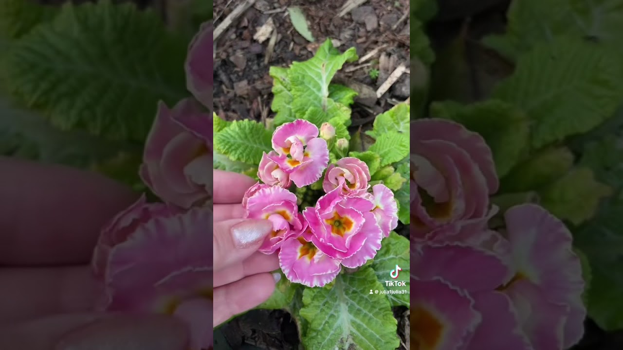 5 марта 2026 г.