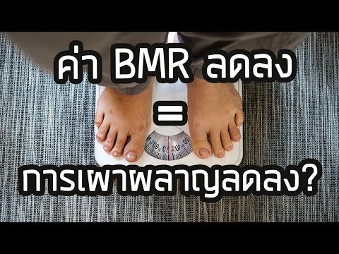 ลดน้ำหนัก แล้ว BMR ลดลง แสดงว่าเผาผลาญแย่ลง จริงหรือ ?