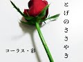 とげのささやき/コーラス・彩