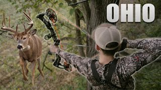 BIGGEST BUCK TO DATE | Tagged Out