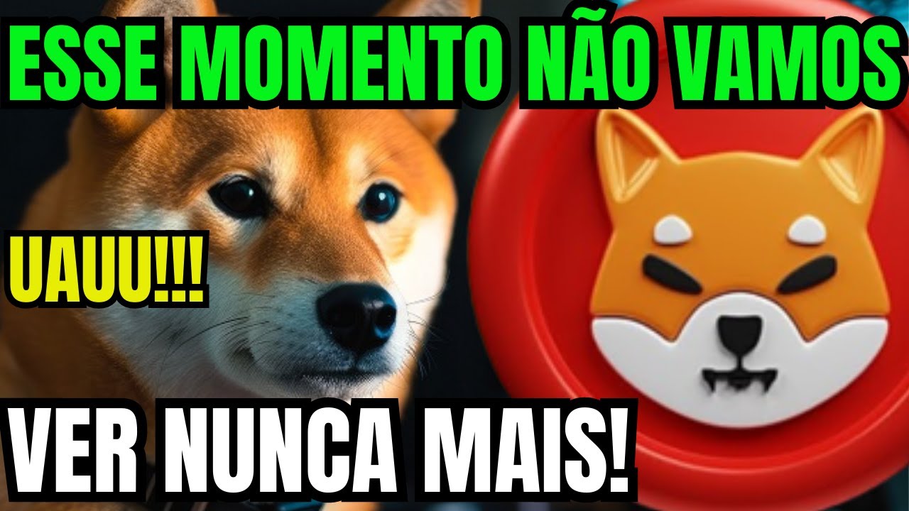 SHIBA INU - ESSE MOMENTO NÃO VAMOS VER NUNCA MAIS! - YouTube