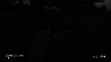 DayZ double kill official