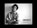 Liam Bailey - Breaking Out - So Down, Cold EP