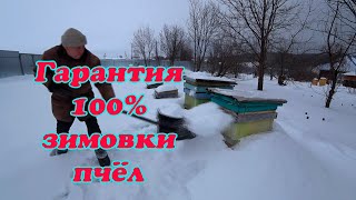 видео: ОСНОВНЫЕ ПРАВИЛА ЗИМОВКИ ПЧЁЛ В УЛЬЯХ РУТА НА ВОЛЕ, В СУРОВЫХ УСЛОВИЯХ УРАЛА. картинка: ОСНОВНЫЕ ПРАВИЛА ЗИМОВКИ ПЧЁЛ В УЛЬЯХ РУТА НА ВОЛЕ, В СУРОВЫХ УСЛОВИЯХ УРАЛА.