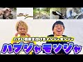 【ゲーム】沖縄のハブでナンジャモンジャ