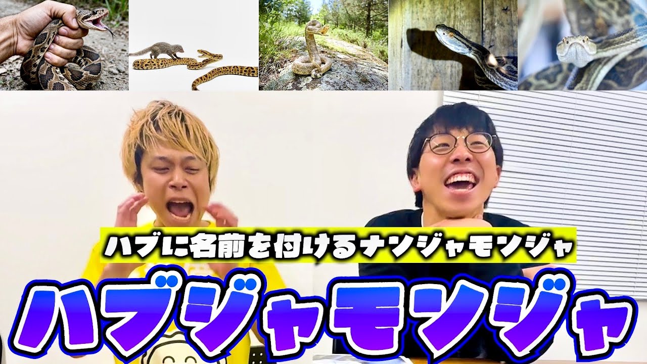 【ゲーム】沖縄のハブでナンジャモンジャ