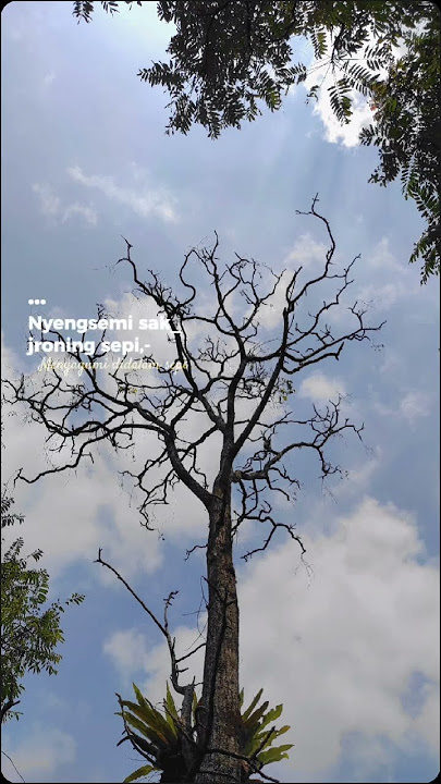 Niken salindry - Lestari #lestari #nikensalindri