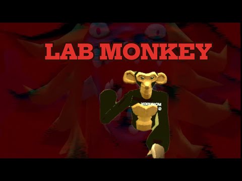 Playing lab monkey
