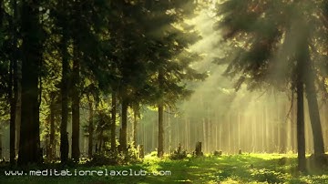 Noise Cancelling: Sound Masking, White Noise, Nature Sounds & Background Ambient Music