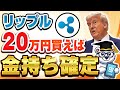 【真実】今リップルを20万円買えば10年後にはお金持ちになれます【仮想通貨】【ビットコインより速くて安い】