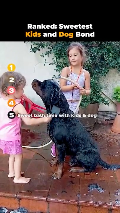 Joy for All Companion Pets Golden Pup from Hasbro - YouTube