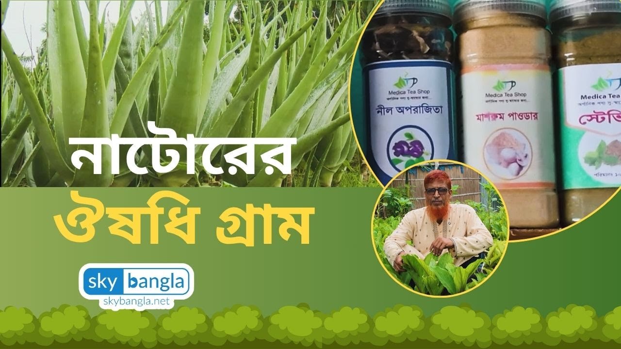 নাটোরের ঔষধি গ্রাম — Natore Herbal Medicine Village
