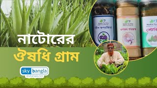 নাটোরের ঔষধি গ্রাম | Natore Harbal Medicine Village | Sky Bangla screenshot 5
