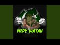 Mere Watan Feat Batzee Gang