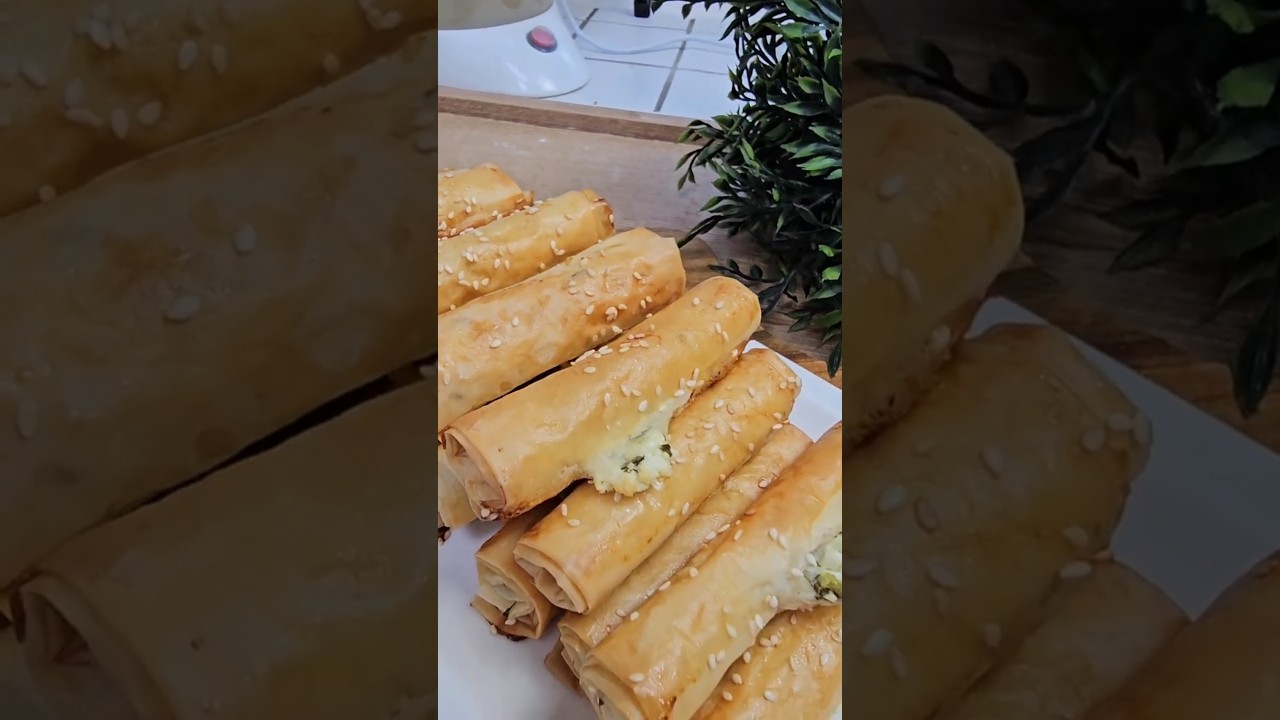 Baklavalık yufkadan çıtır çıtır börek tarifi