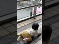 🍎Fell Down Twice but Still Smiling / 2回転んでもニコニコ (1y8m26d No.5)