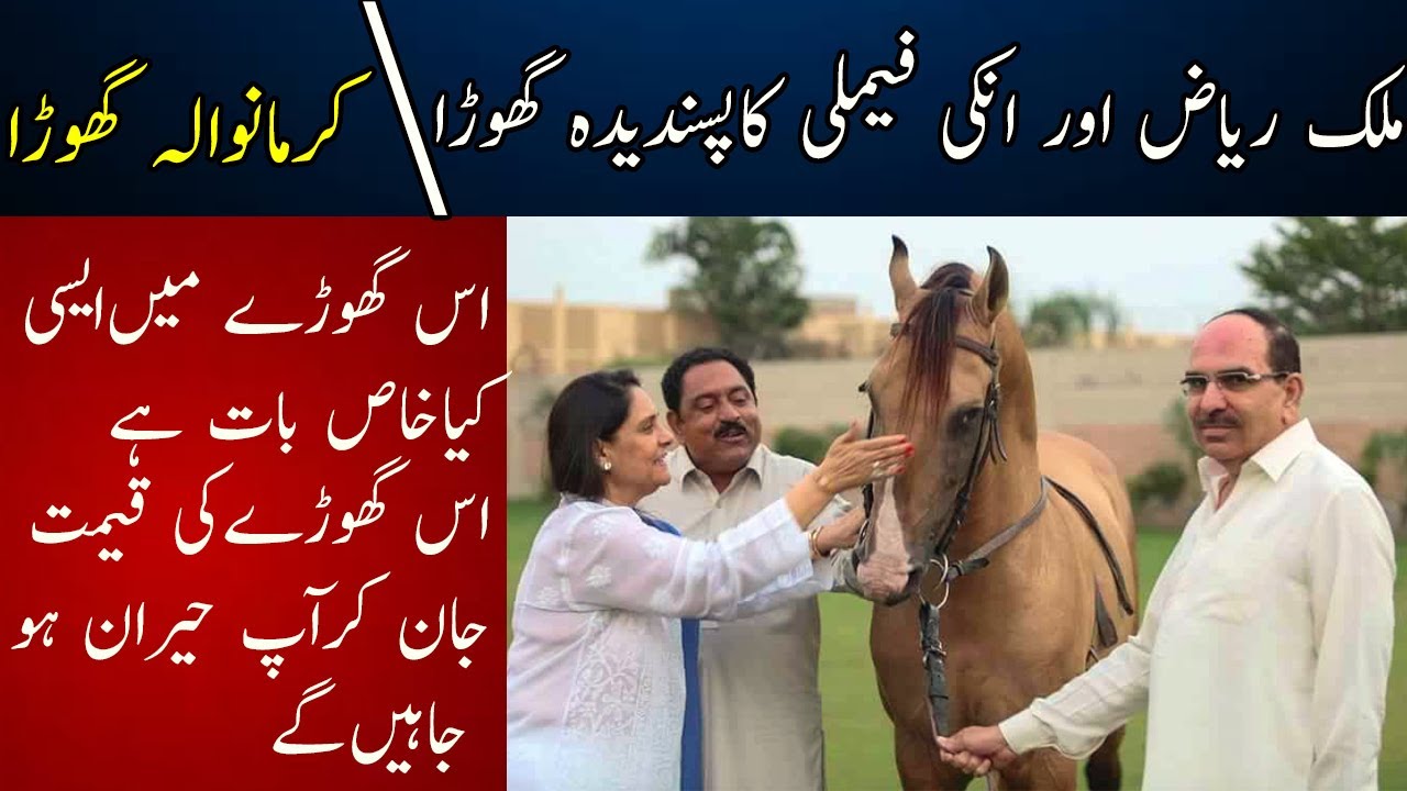 Karmanwala Ghora || | Malik Rizwan Patwari Horse | Behria Town Club || Tent pegging Number one Horse