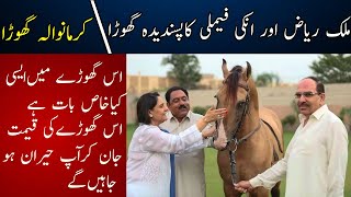 Karmanwala Ghora Malik Rizwan Patwari Horse Behria Town Club Tent Number One Horse