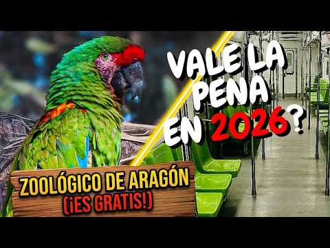 Vale la pena visitar el Zoológico de Aragon en 2026?