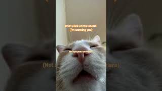 Don't click the sound. song by: @bansheebbyyy #siren #song #mermaid #therians #ocean