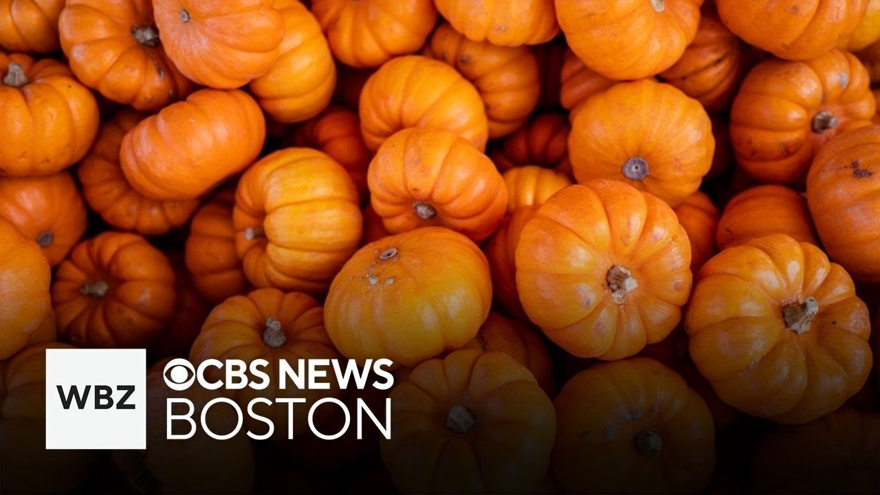 Fall weekend events happening in Massachusetts