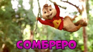 Alvin and the Chipmunks sing song Сомбреро Gidayyat x Hovannii)