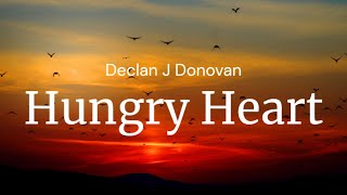 Hungry Heart - Declan J Donovan / FULL SONG LYRICS