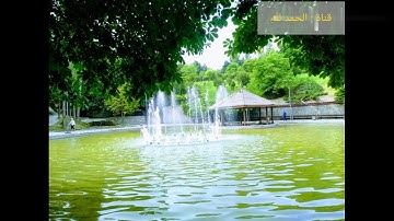 حالات واتس اب ❤ من سورة النبأ 💚  بصوت طفل أنس الشهاب 💙 .