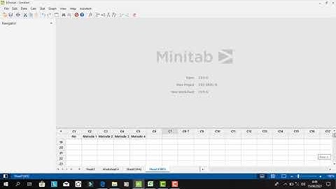 Deskripsi dan Eksplorasi Data | Tutorial Minitab