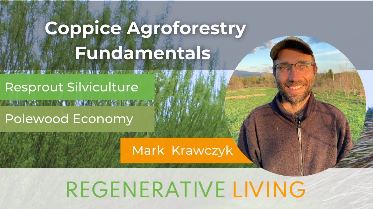 Coppice Agroforestry Fundamentals - YouTube