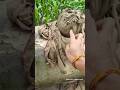 Ganpati Murti Making Day 1 Ganeshchaturthi Ganpatibappa Bappa