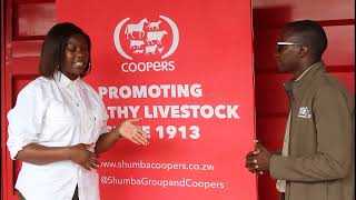 COOPERS ANIMAL HEALTH :  THEILERIOSIS  or JANUARY DISEASE CONTROL IN ZIMBABWE