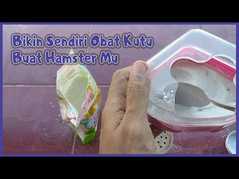 Praktek Membuat Obat Kutu Untuk Hamster Kamu Dirumah