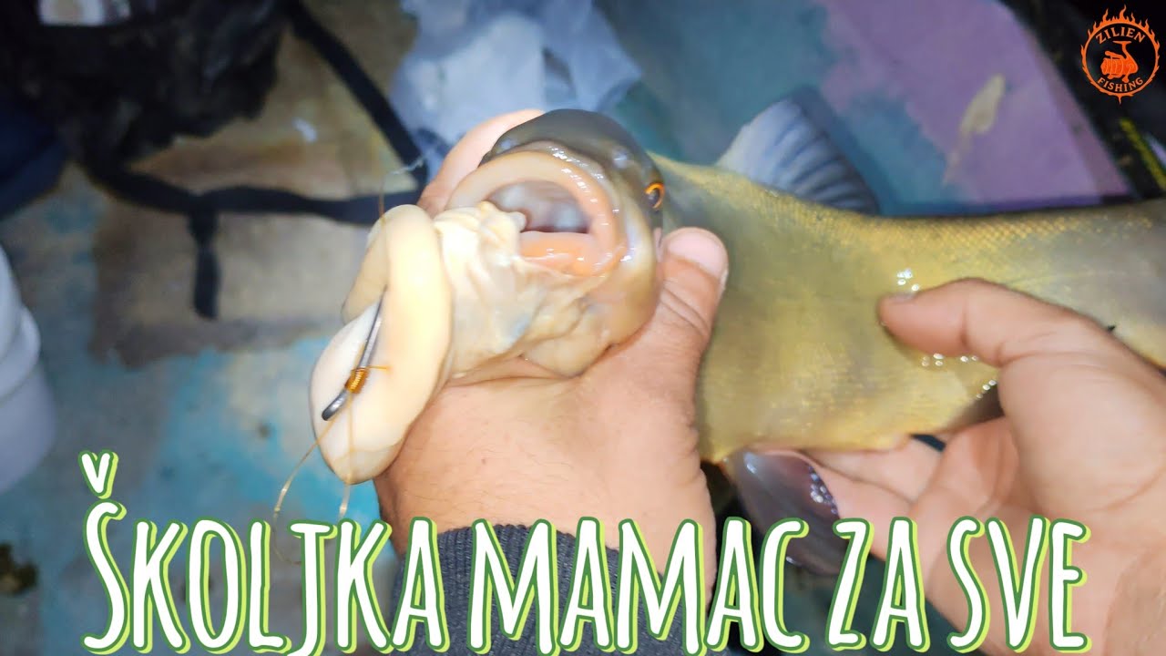 Pecanje Soma Šarana i još po nešto