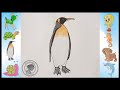 Penguen Çizimi | Kolay Çizimler | How to Draw a Penguin?