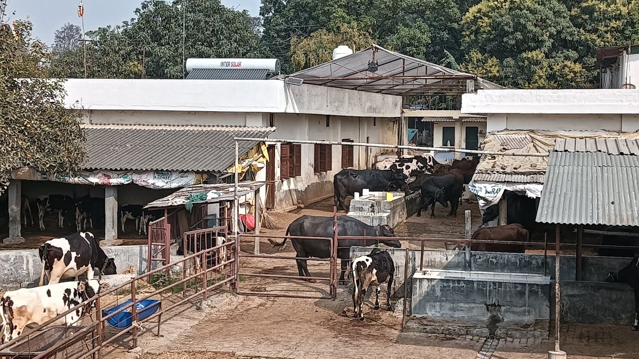 #रोजगार# के स्रोत ऐसे भी होते हैं#vlog#viral 