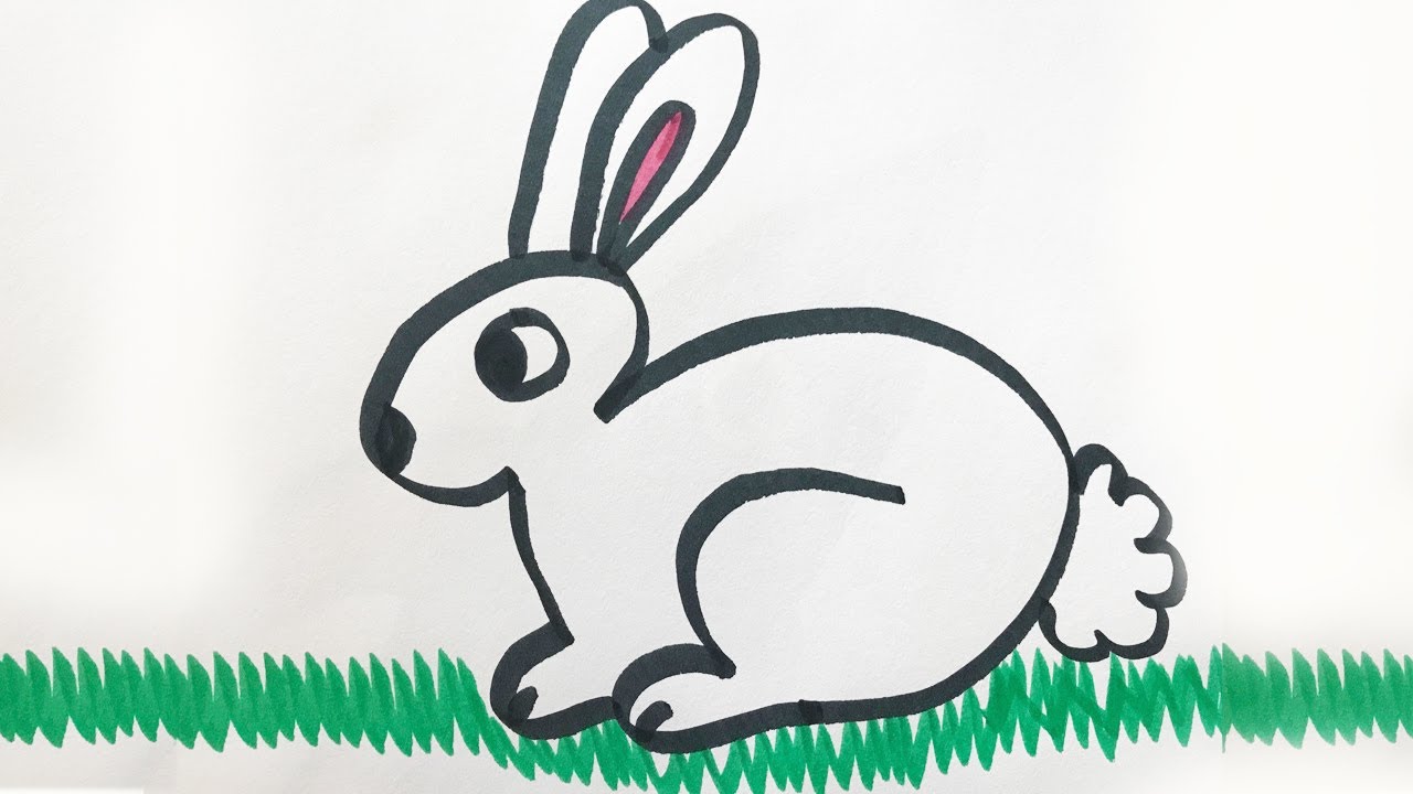 How to draw and color a Bunny -for kids! - YouTube