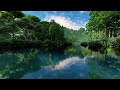 【心を落ち着かせ 頭を空っぽにする音楽】 疲れた時に聴く音楽｜ 脳の疲れを取る音楽 自律神経を整える音楽 心が落ち着く音楽 睡眠音楽 リラックス音楽 α波 波の音