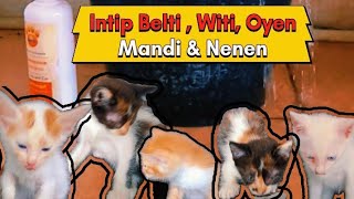 Kita Intip yuk || Witi, Oyen, Belti Mandi, Berjemur, Makan dan Nenen