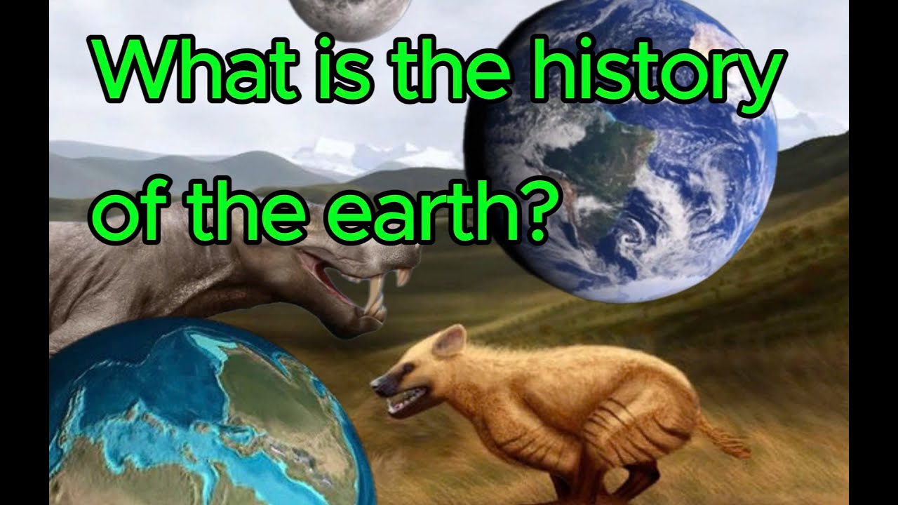The Evolution of Life on Earth: From the Beginning to Modern Times ...
