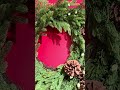 Raz 28" Real Touch Real Feel Berry, Pine and Pinecone Christmas Wreath W4617788