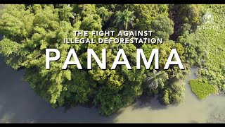 Panama│Fighting illegal deforestation
